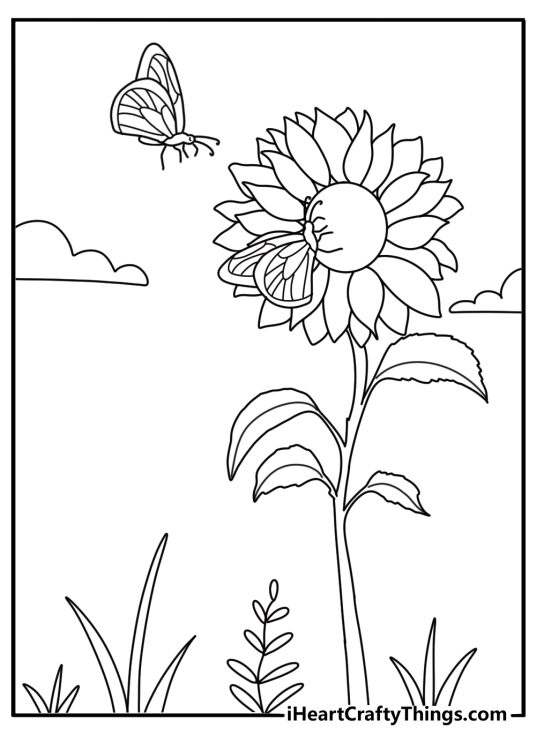 Sunflower and butterfly pollinator garden coloring page PDF download