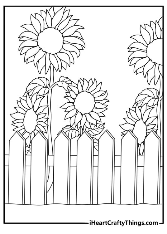 Sunflower arch over picket fence garden scene coloring page for kids