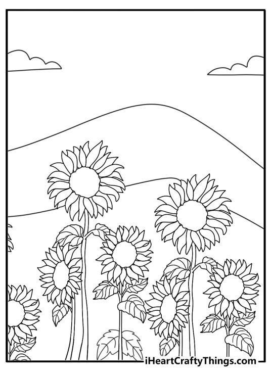 Sunflower field at sunset with distant hills advanced coloring sheet for adults