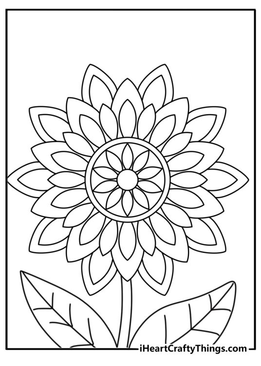 Sunflower mandala pattern relaxing coloring sheet for adults PDF
