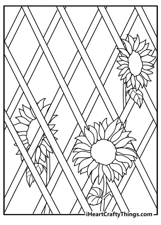 Sunflower on rustic lattice trellis detailed coloring sheet for adults