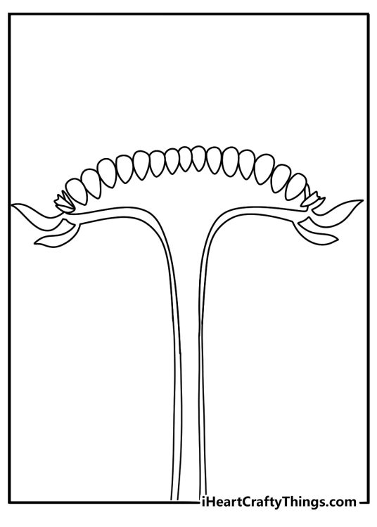 Sunflower seed head cross section intricate coloring page for adults
