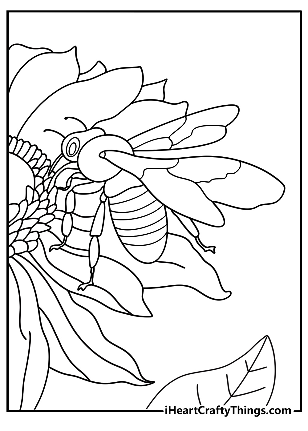 Sunflower with honey bee close up nature coloring sheet printable