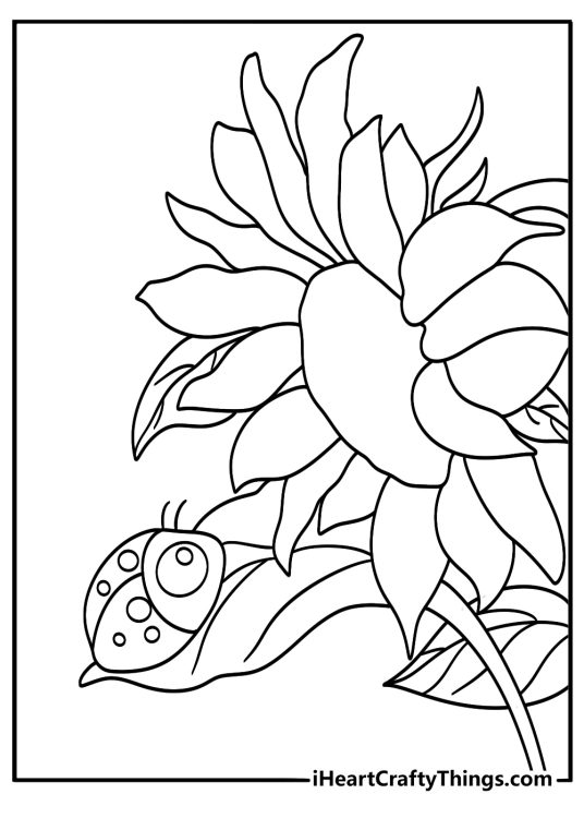 Sunflower with ladybug on leaf cute kawaii coloring page printable