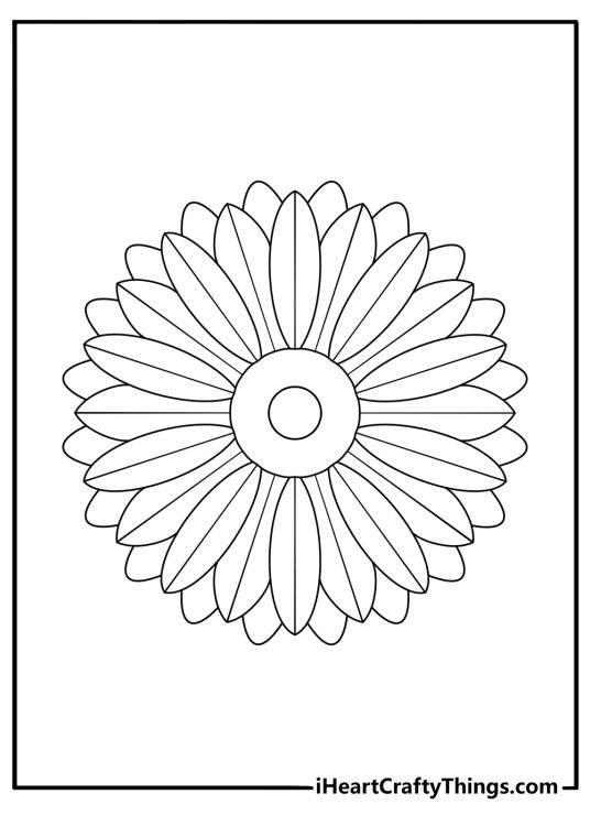 Top view daisy symmetry coloring page geometric petals