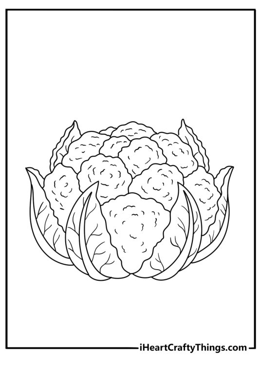 Vegetables coloring page featuring cauliflower head