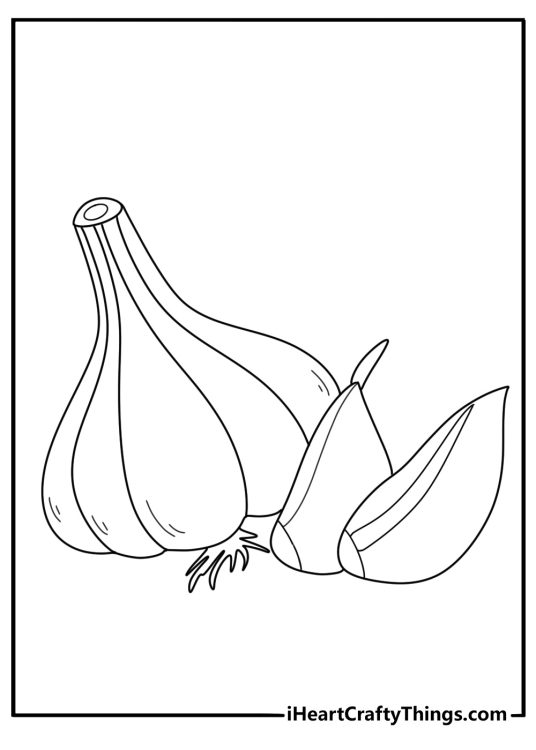 Vegetables coloring page showing garlic bulb with cloves