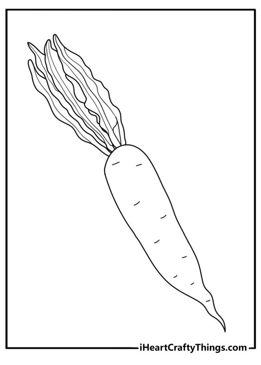 Vegetables coloring page showing radish with long root