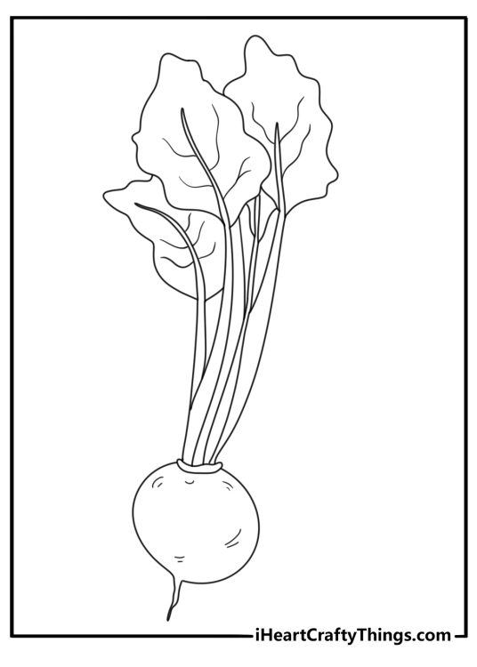 Vegetables coloring page with beetroot and long stem