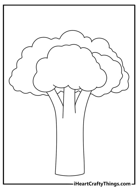 Vegetables coloring page with single broccoli head simple outline
