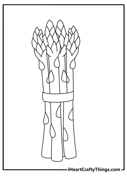 Vegetables coloring sheet presenting tall asparagus spears