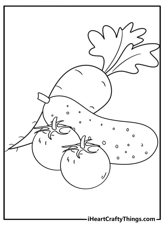Vegetables printable sheet featuring three vegetables tomato cucumber and radish