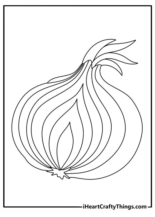 Vegetables printable showing onion with layers visible