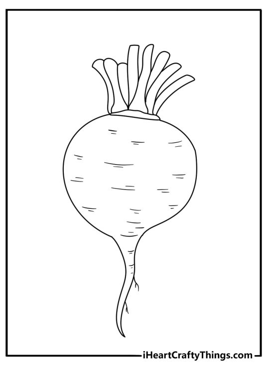 Vegetables themed picture to print and color featuring big realistic turnip with clear background