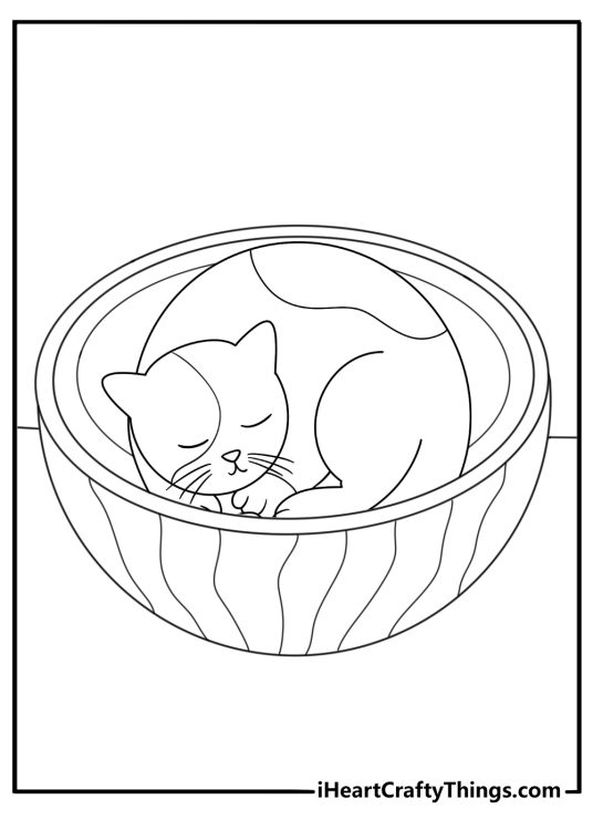 Watermelon cat coloring page with a kitten curled up inside a hollow rind