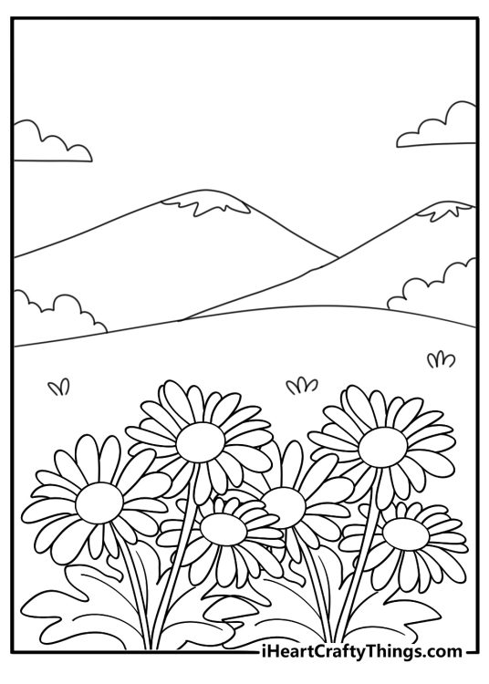 Wild daisy meadow coloring page landscape download