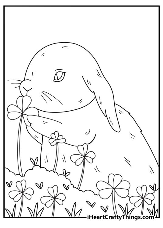 Wild rabbit nibbling clover in a meadow coloring sheet for kids