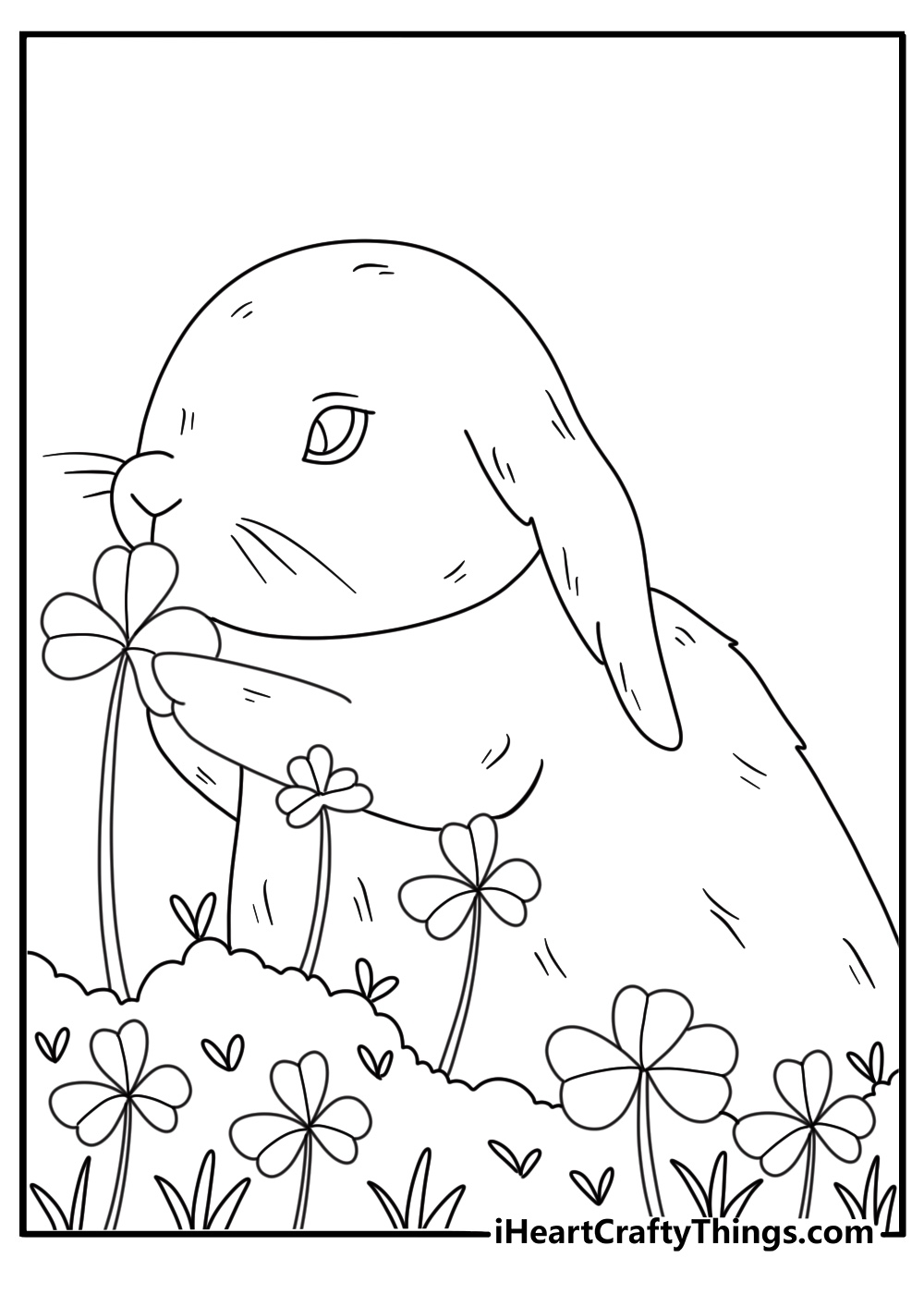 Wild rabbit nibbling clover in a meadow coloring sheet for kids