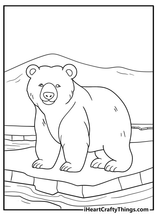 Young polar bear learning to swim near shore simple coloring page