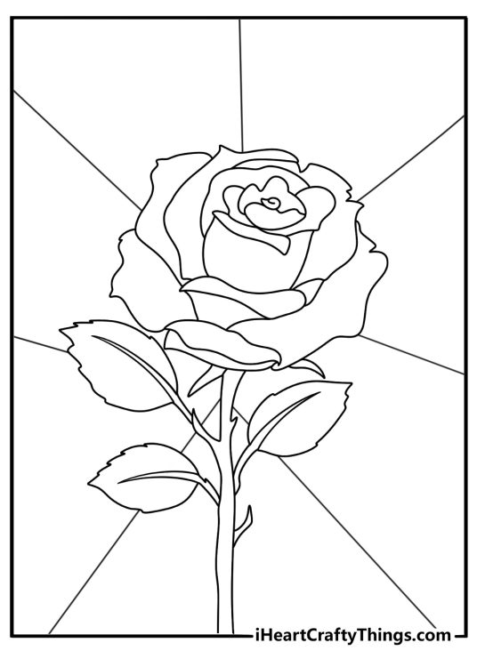 black and white drawing for children presenting beautiful rose in front of segmented background
