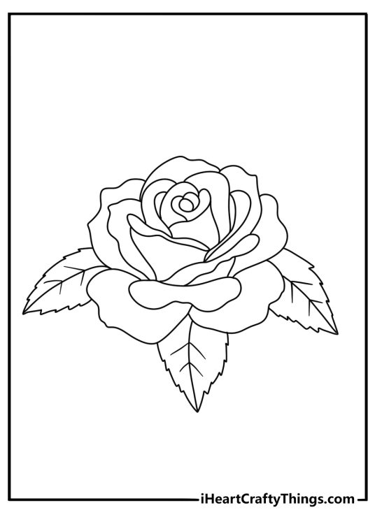 black and white printable picture presenting beautiful rose with big vibrant leaves