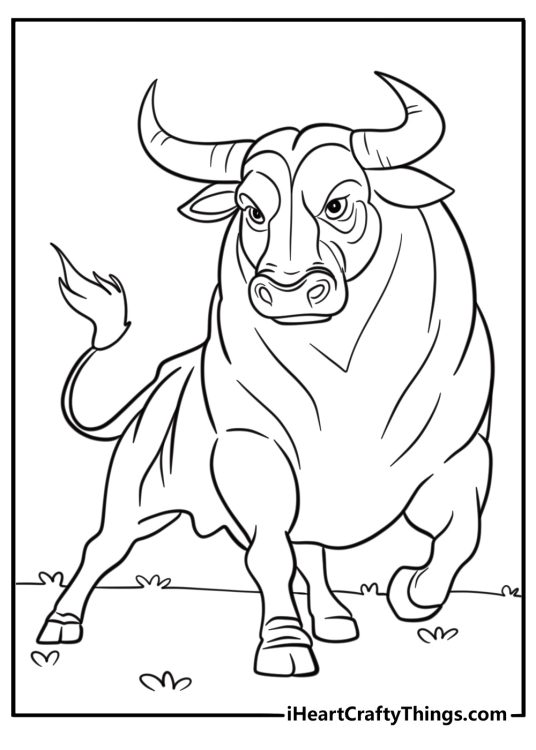 Bull facing forward with powerful stance detailed sheet