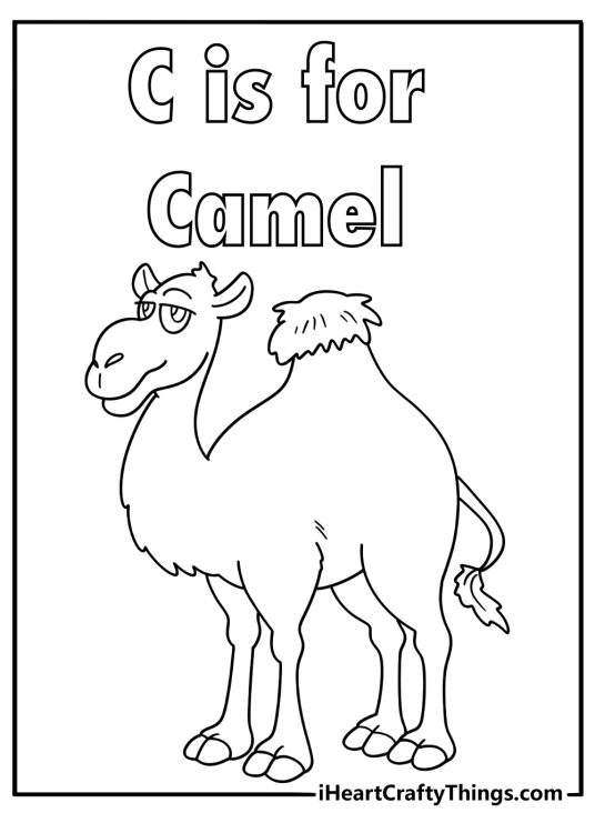 c is for camel coloring page