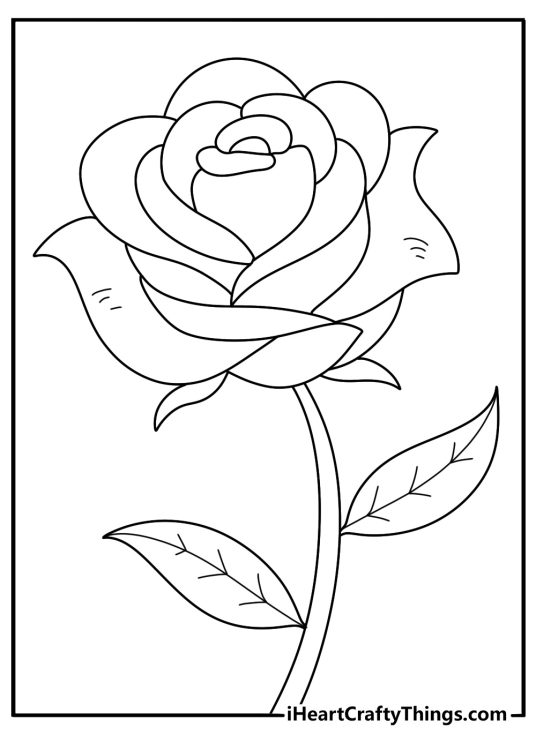coloring card presenting fully bloomed rose looking like it is close to losing a couple of petals soon