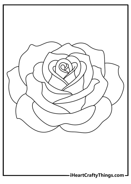 coloring drawing for children featuring rose with soft petals which curl and loop