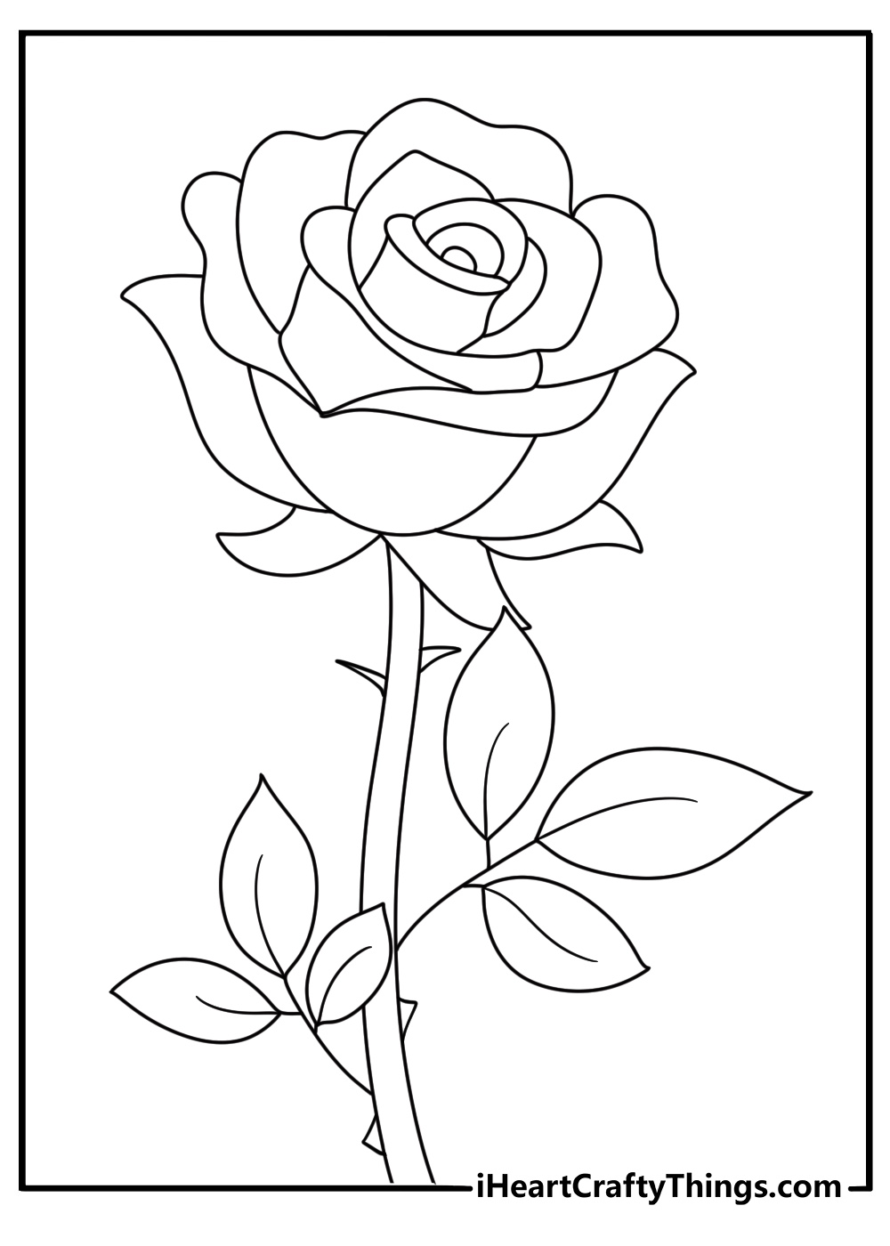coloring sheet for kids featuring beautiful fully bloomed rose with blank background