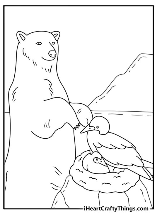 curious bear watches seabirds nesting on a rocky cliff