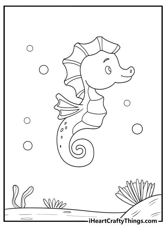 cute baby seahorse in coral nursery easy coloring sheet