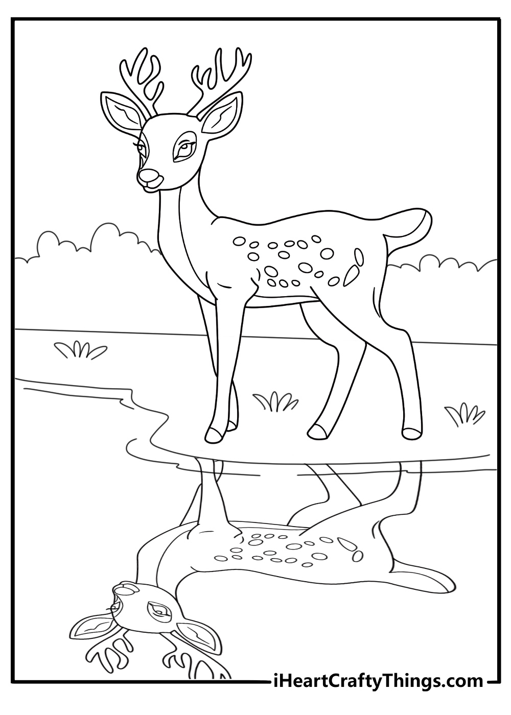 deer standing at the edge of a lake with reflection coloring page