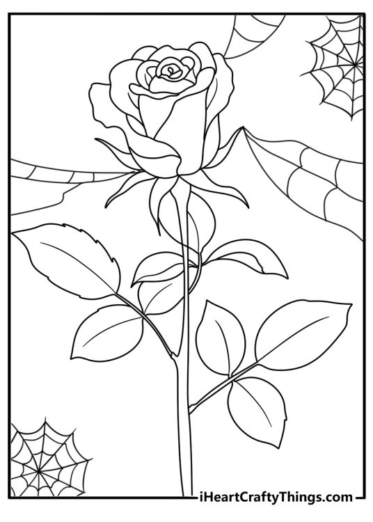 detailed coloring image depicting two blooming roses surrounded by spider webs