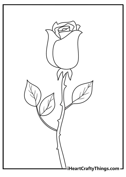 detailed coloring image presenting elegant rose with long winding stem and three leaves