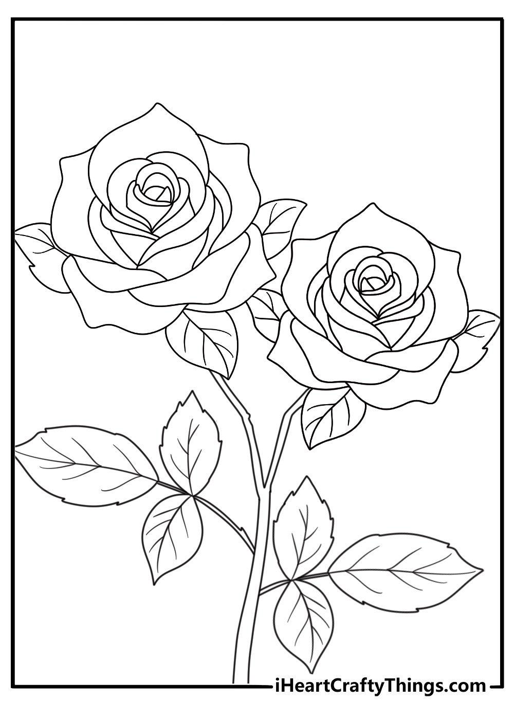 detailed drawing featuring two beautiful roses with many leaves on their stems