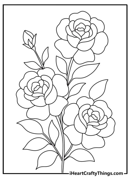 detailed image to print and color featuring big fully bloomed rose with several rosebuds still closed