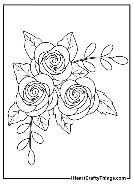 detailed printable coloring image for children featuring three big fully bloomed roses