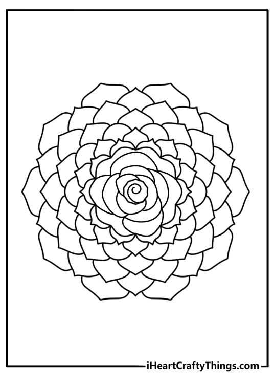 detailed rose printable with layered petals inside a mandala circle
