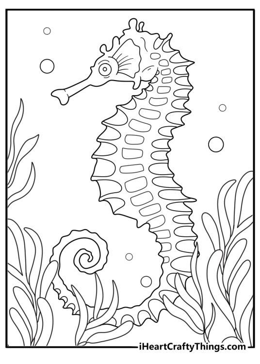 detailed seahorse with kelp forest background adult coloring printable