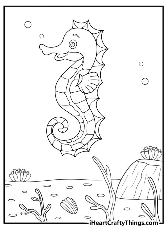 easy seahorse coloring page near coral reef printable pdf