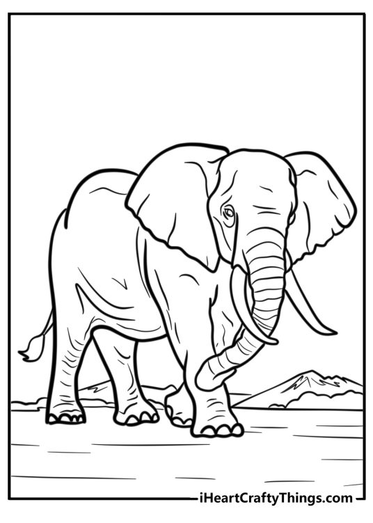 Free detailed picture of a mature walking elephant with mountains in the background