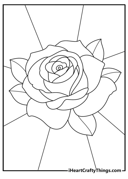 free printable featuring close up image of a big fully bloomed rose with segmented background