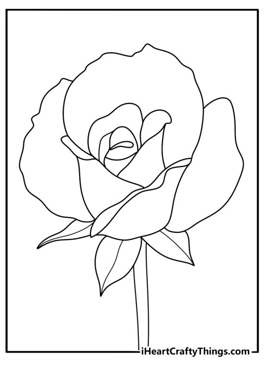 free printable featuring eye catching rose with swirling petals and bud next to it just starting to bloom
