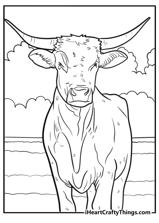 Majestic longhorn bull in open land coloring page