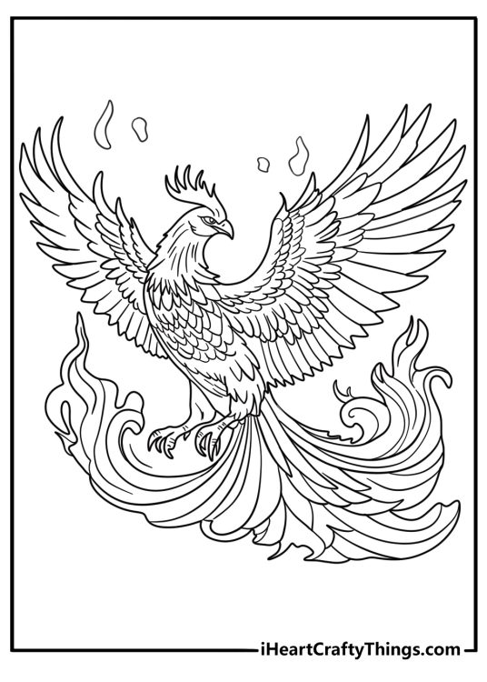 phoenix rising from flames coloring sheet detailed feathers for adults printable pdf