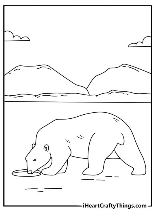 polar bear drinks from a small freshwater pool in this nature printable