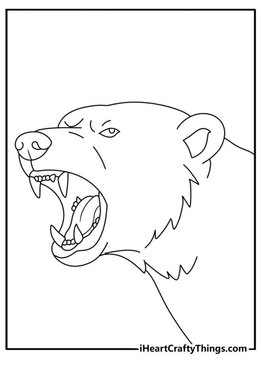 polar bear yawning with its sharp teeth visible makes an easy wildlife coloring page