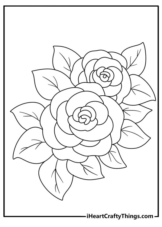 printable coloring card for adults with a pair of blooming roses surrounded by leaves