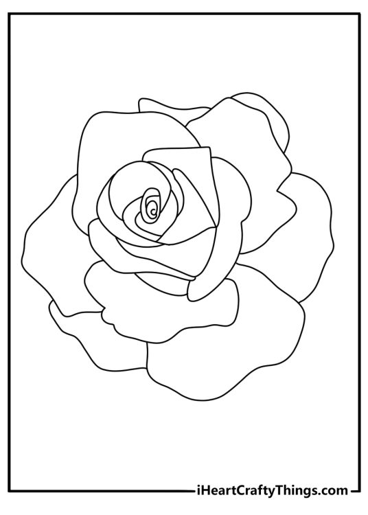 printable coloring pdf for children of a rose with very large open unfurled petals